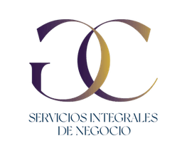 CG Servicios Integrales
